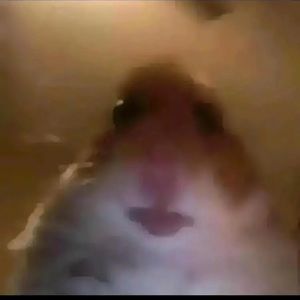 Meet your Posher, Ben